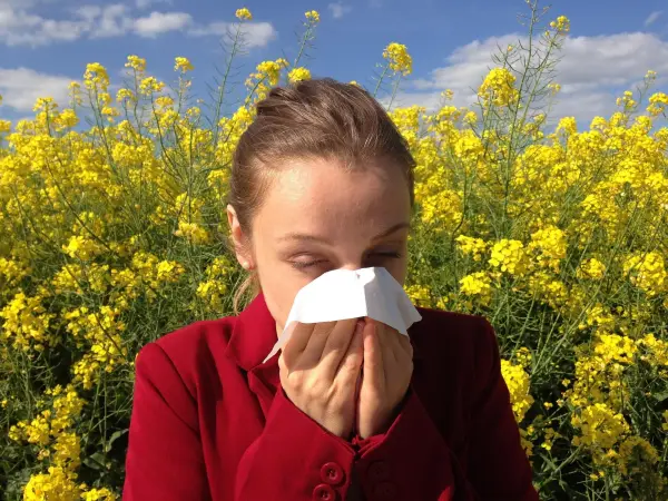 Alergia rinosinusală
