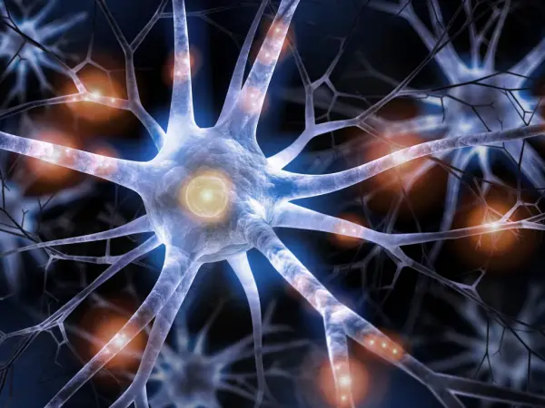 Serotonina: cum influențează comportamentul